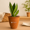 4 inch Clay Flower Pots Terra Cotta Plant Pots with Drainage Holes Cactus Succulent Pots Small Terracotta Pots Mini Planter for Indoor Outdoor Plants DIY Craft Wedding Favor