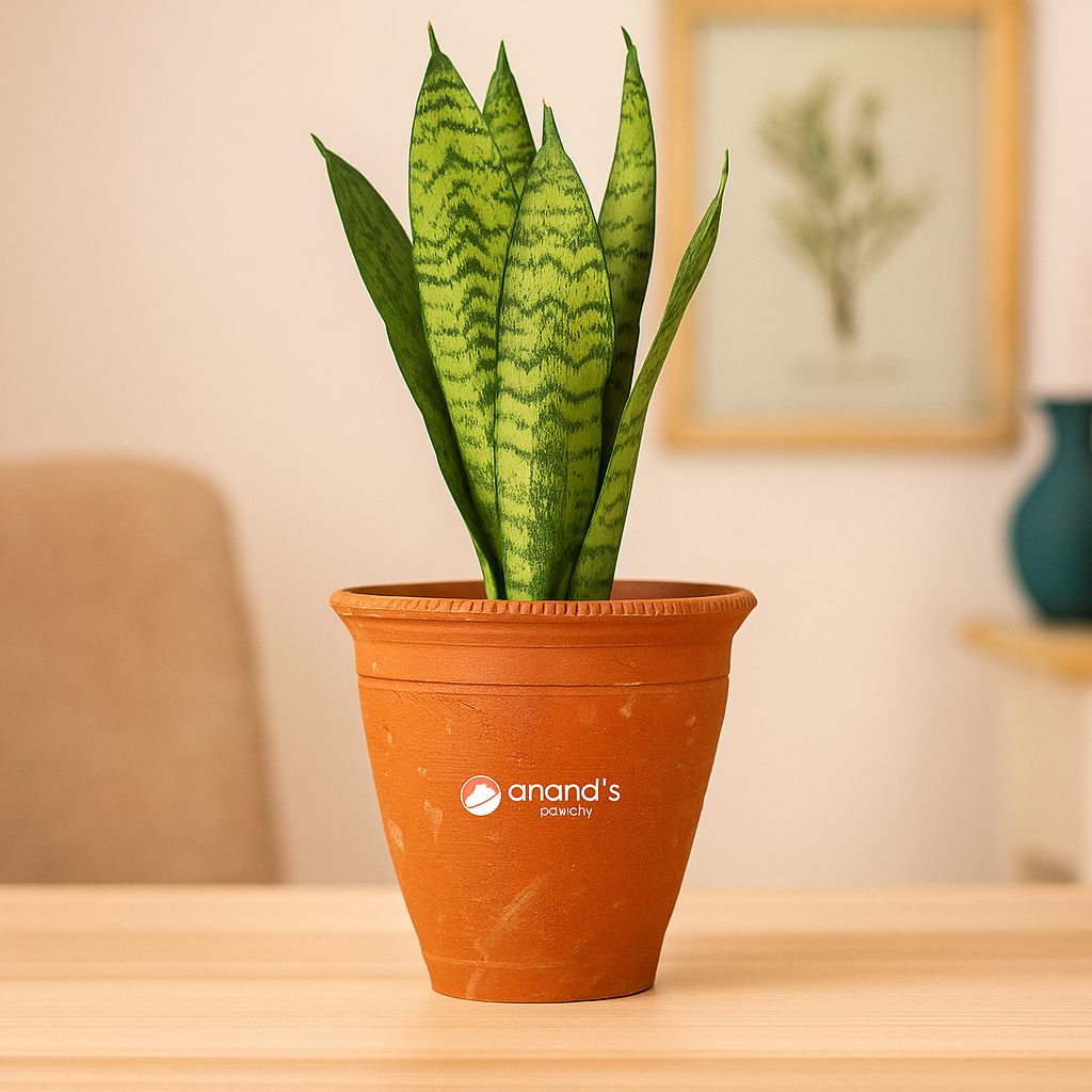 4 inch Clay Flower Pots Terra Cotta Plant Pots with Drainage Holes Cactus Succulent Pots Small Terracotta Pots Mini Planter for Indoor Outdoor Plants DIY Craft Wedding Favor