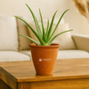 4 inch Clay Flower Pots Terra Cotta Plant Pots with Drainage Holes Cactus Succulent Pots Small Terracotta Pots Mini Planter for Indoor Outdoor Plants DIY Craft Wedding Favor