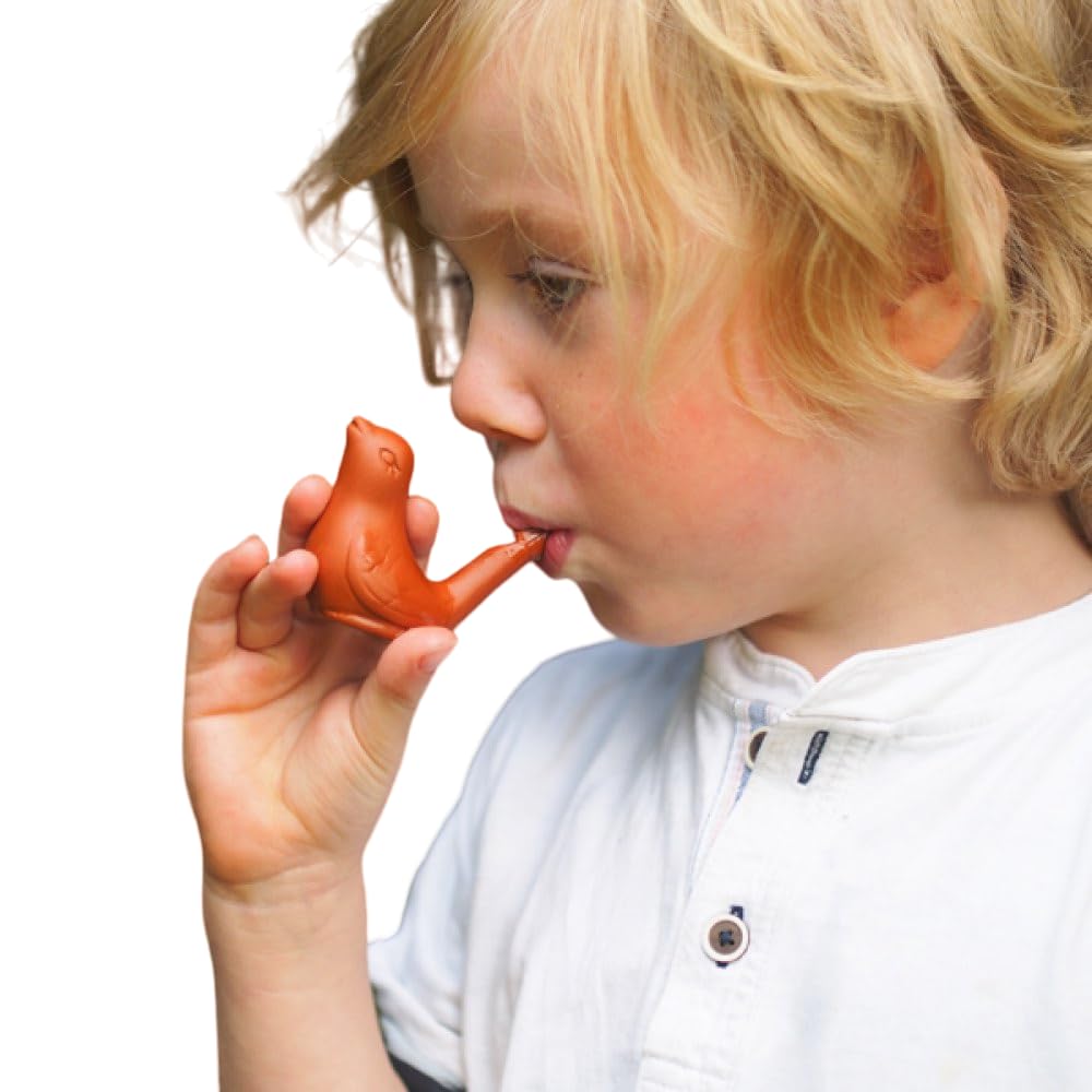 water bird whistle toy