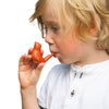 water bird whistle toy