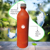 Clay water bottle-1L [Anand's Pottery]